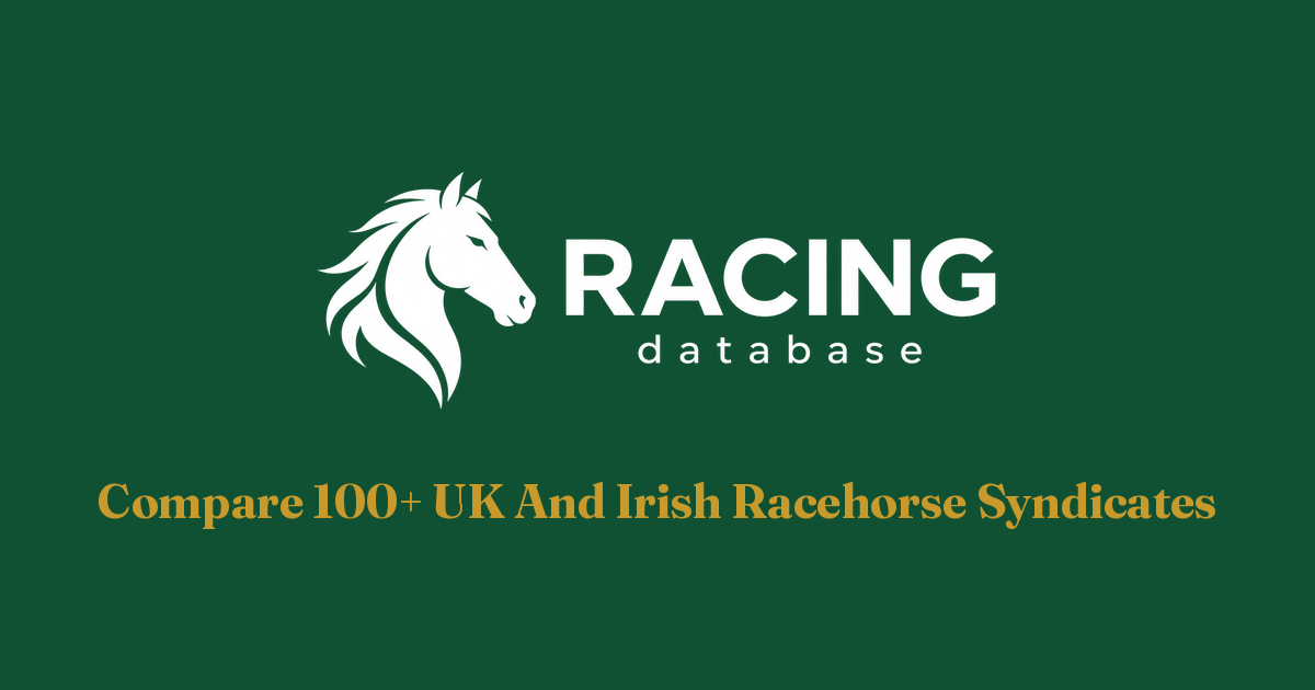 Ryan's Rocket: 2026 Runs & Results | RacingDatabase