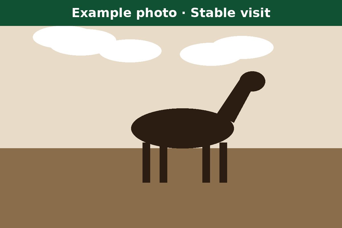 Example photo: an owners' stable visit