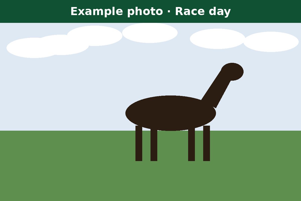 Example photo: the parade ring on race day